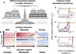 low case numbers enable long-term stable pandemic control without lockdowns